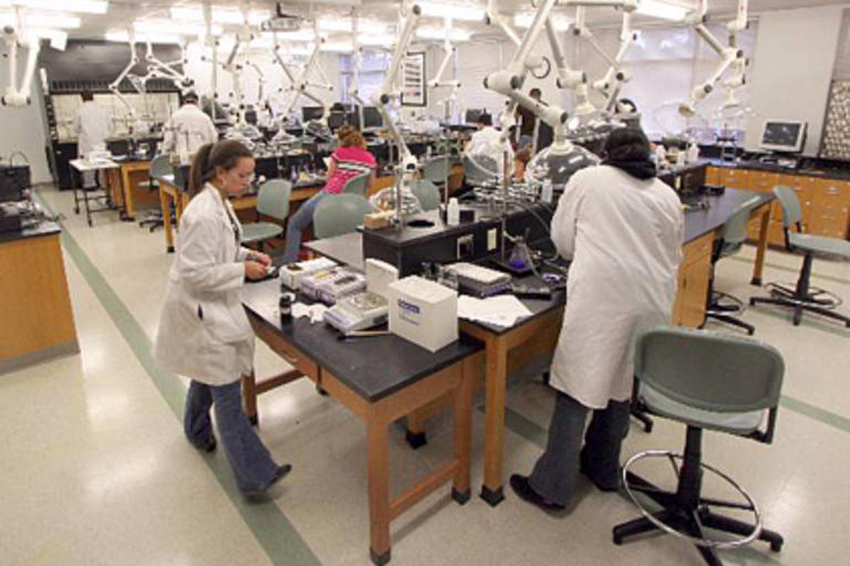 Students in Chemistry Lab