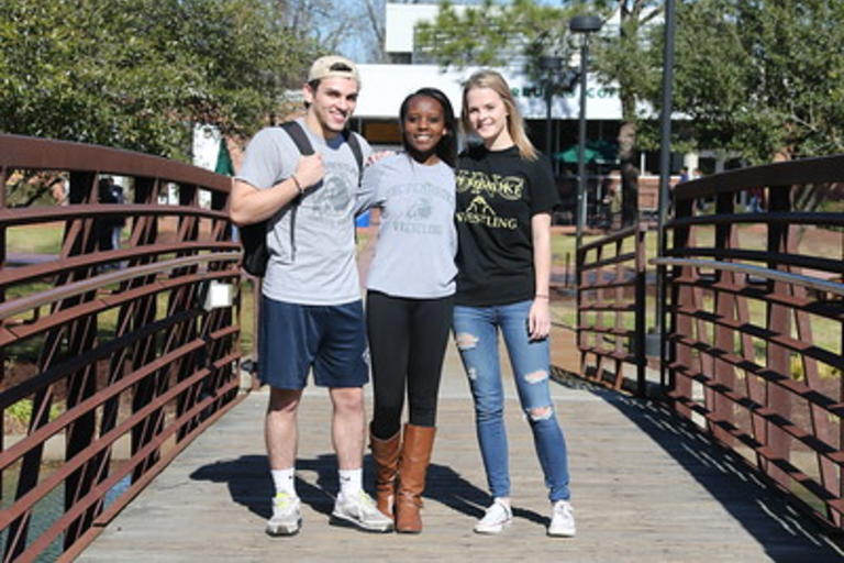 Applied Social and Behavioral Sciences